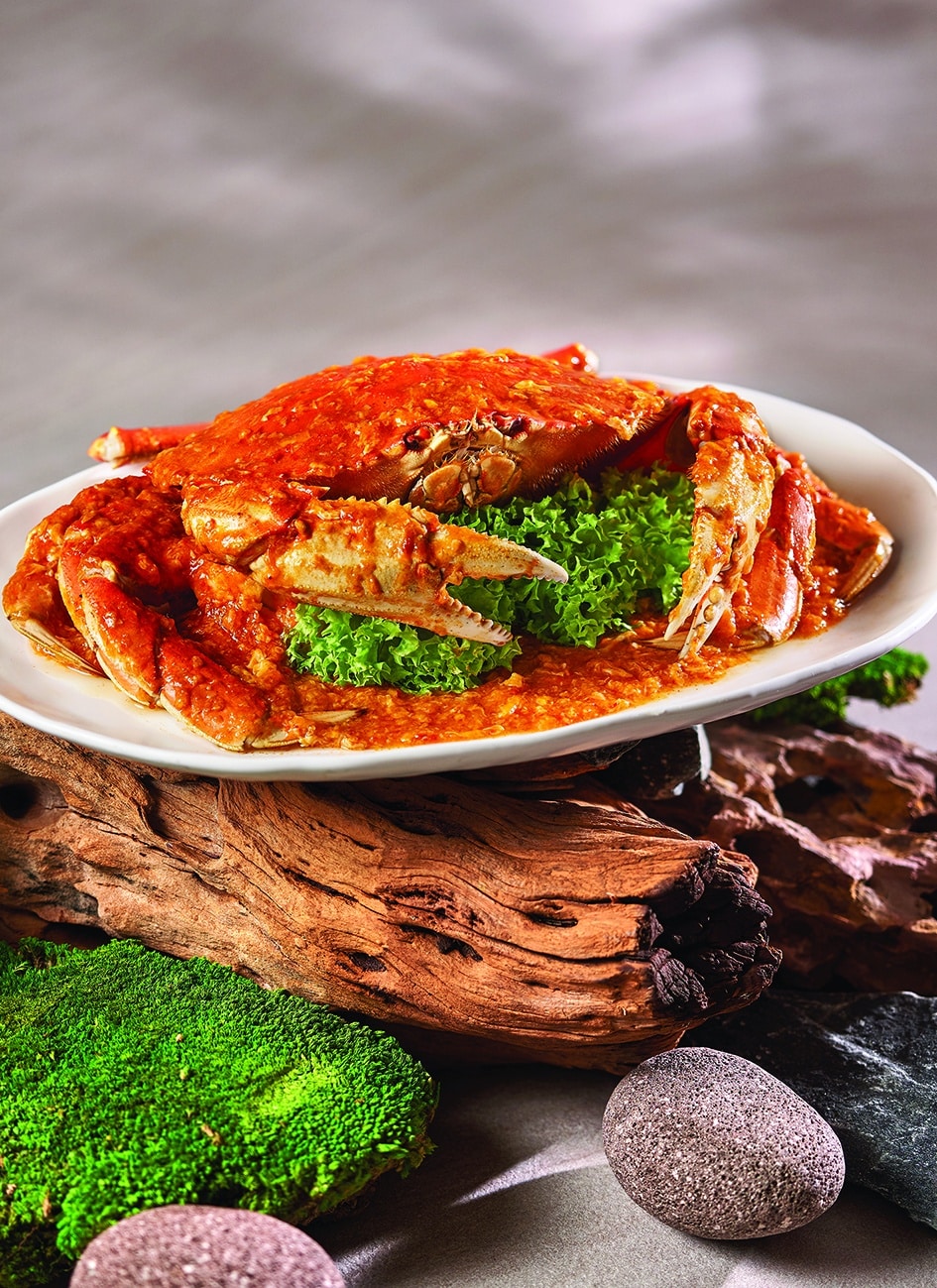 Chilli Live Dungeness Crab